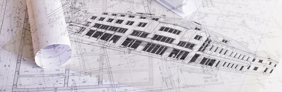 Our Services and Projects